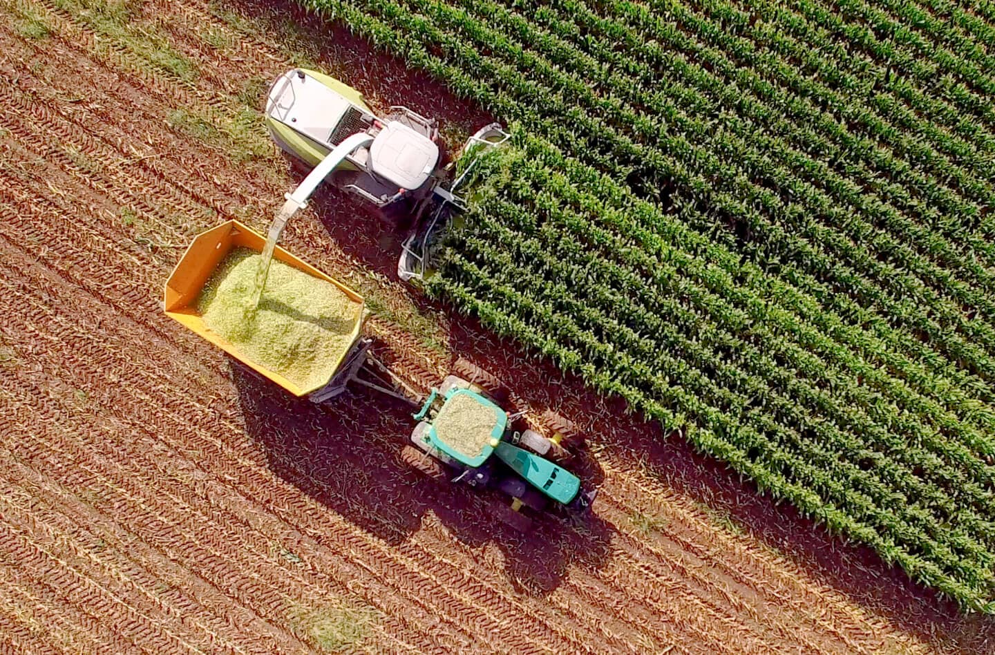 AgTech Farmlands in California